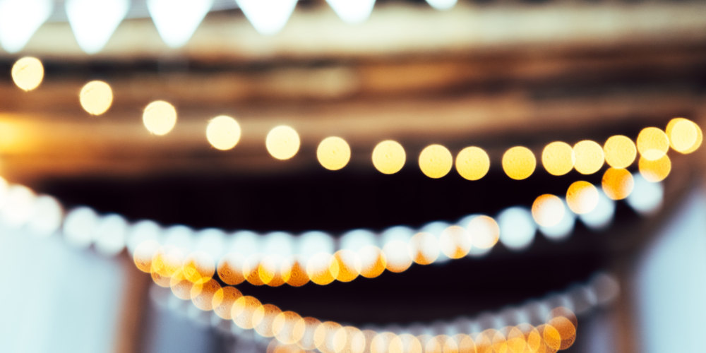 Beginners Garden Design Ideas