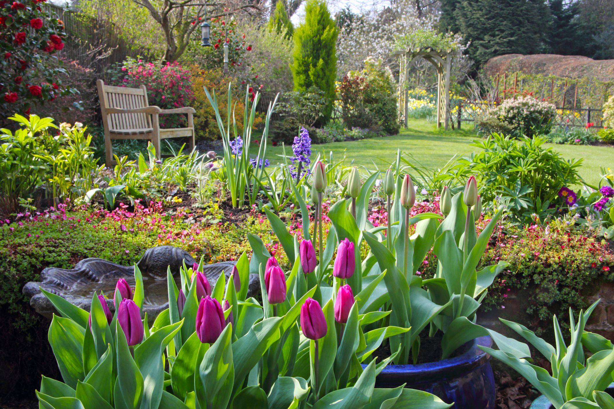 Low Maintenance Container Gardening Flowers Ideas
