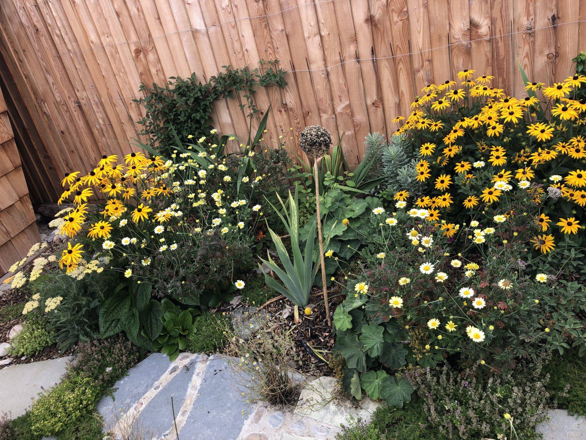 Container Gardening