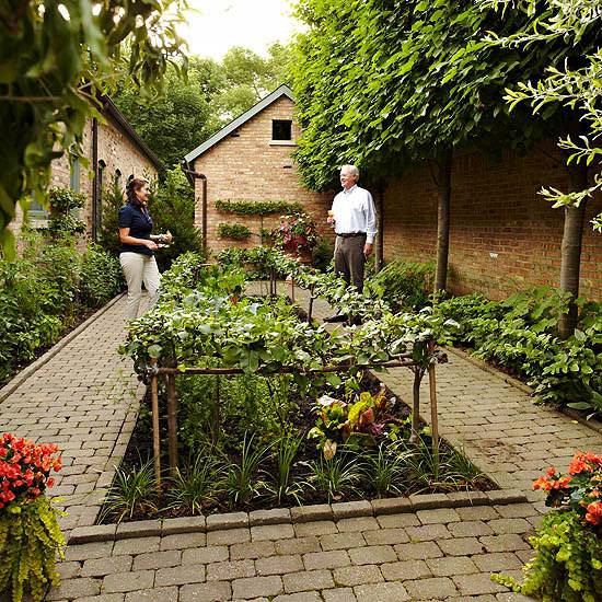 Fall Vegetable Gardening Tips
