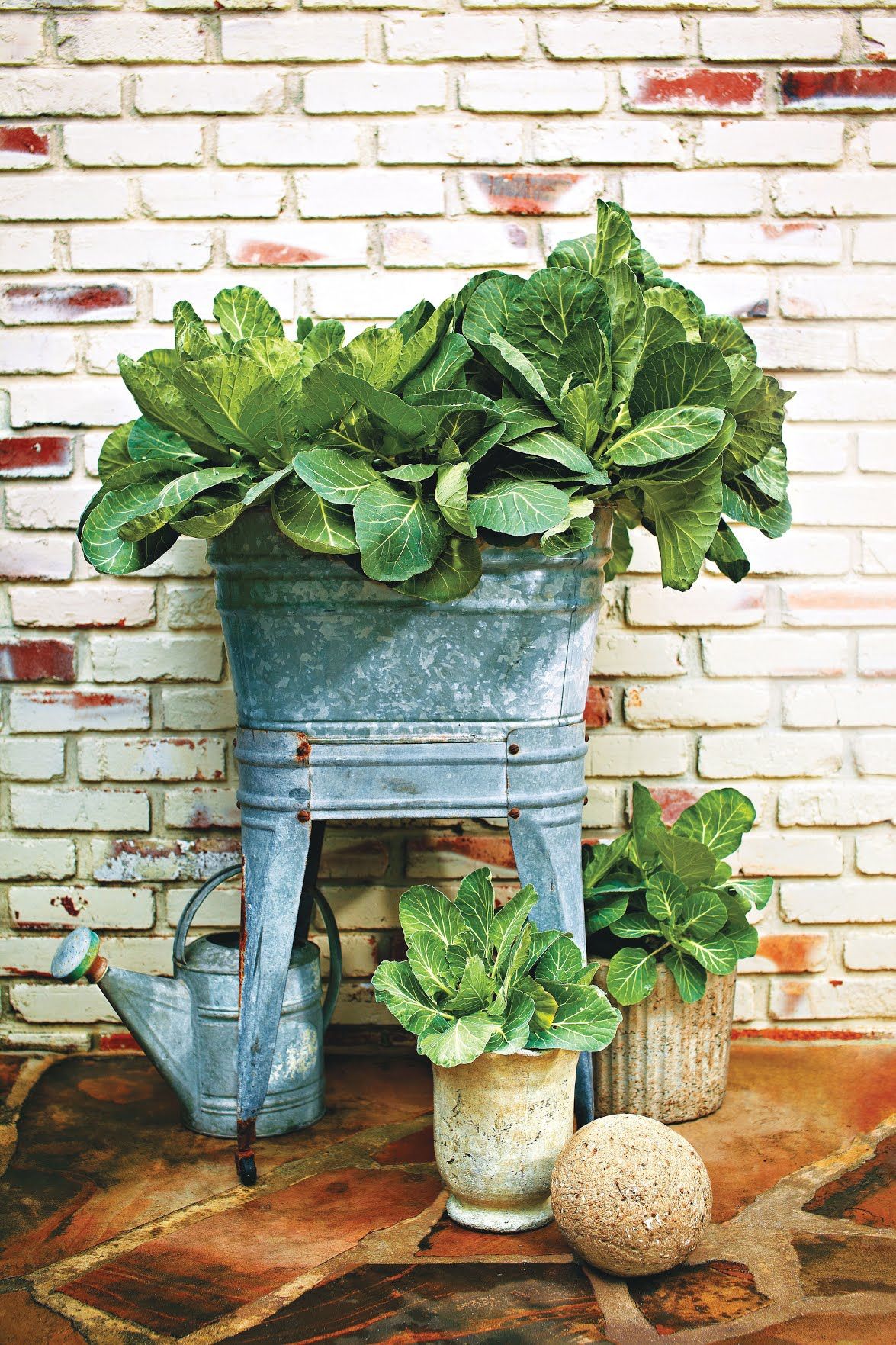 Your Fall Vegetable Garden