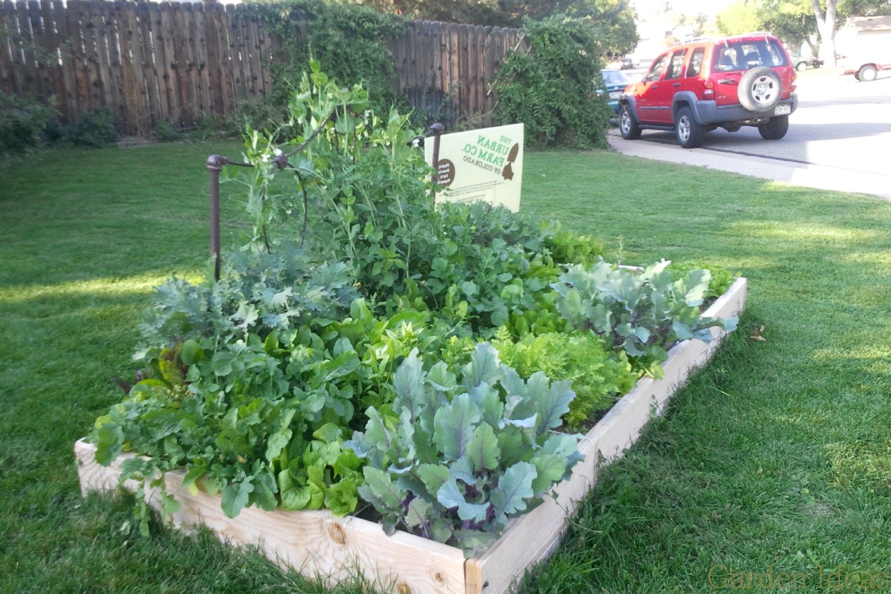 Great Fall Gardens Organic Gardening Mother Earth News