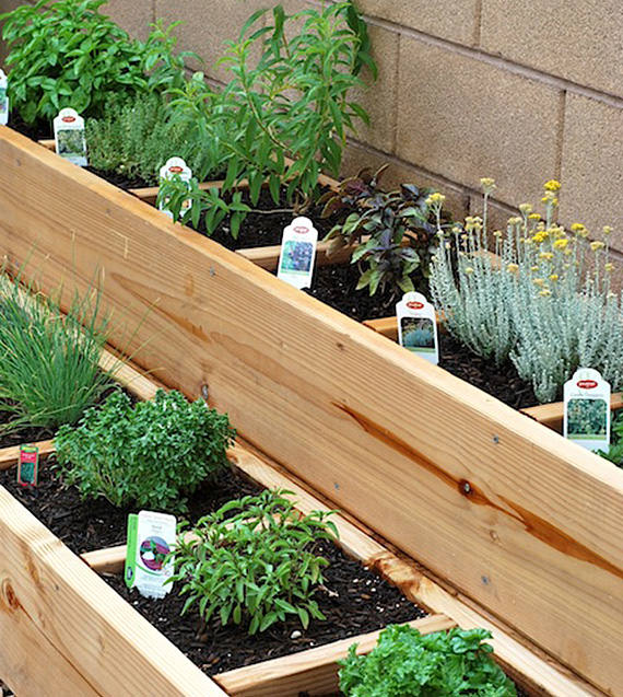A Raised Herb Garden