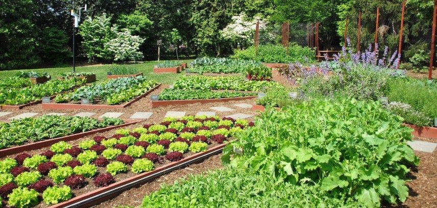 Awesome Gardening Ideas