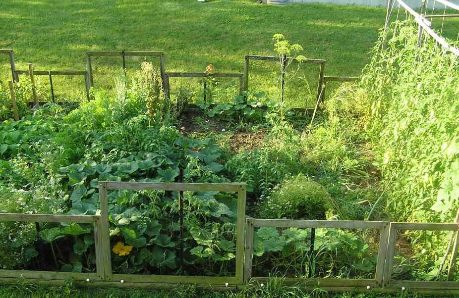 Best Vegetable Garden Layout Ideas