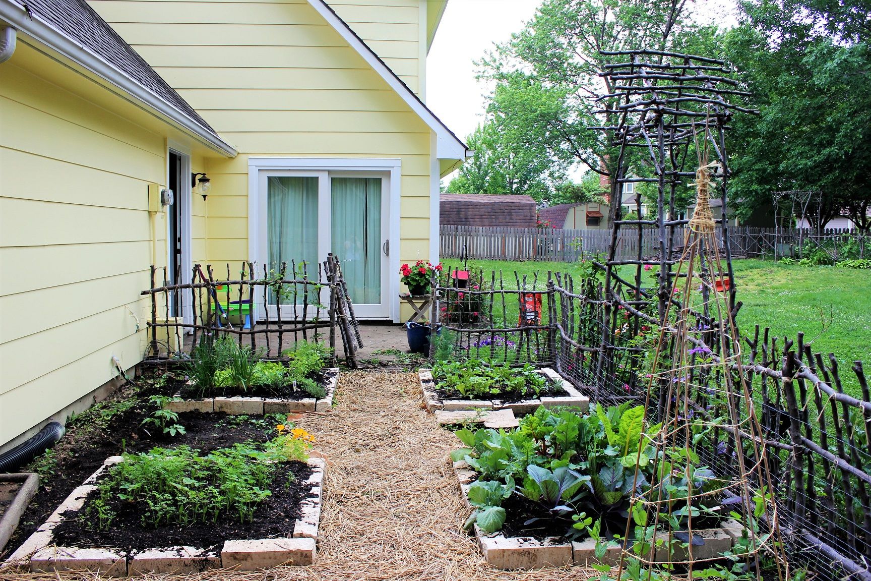 23 Types of Kitchen Garden Ideas To Try This Year SharonSable