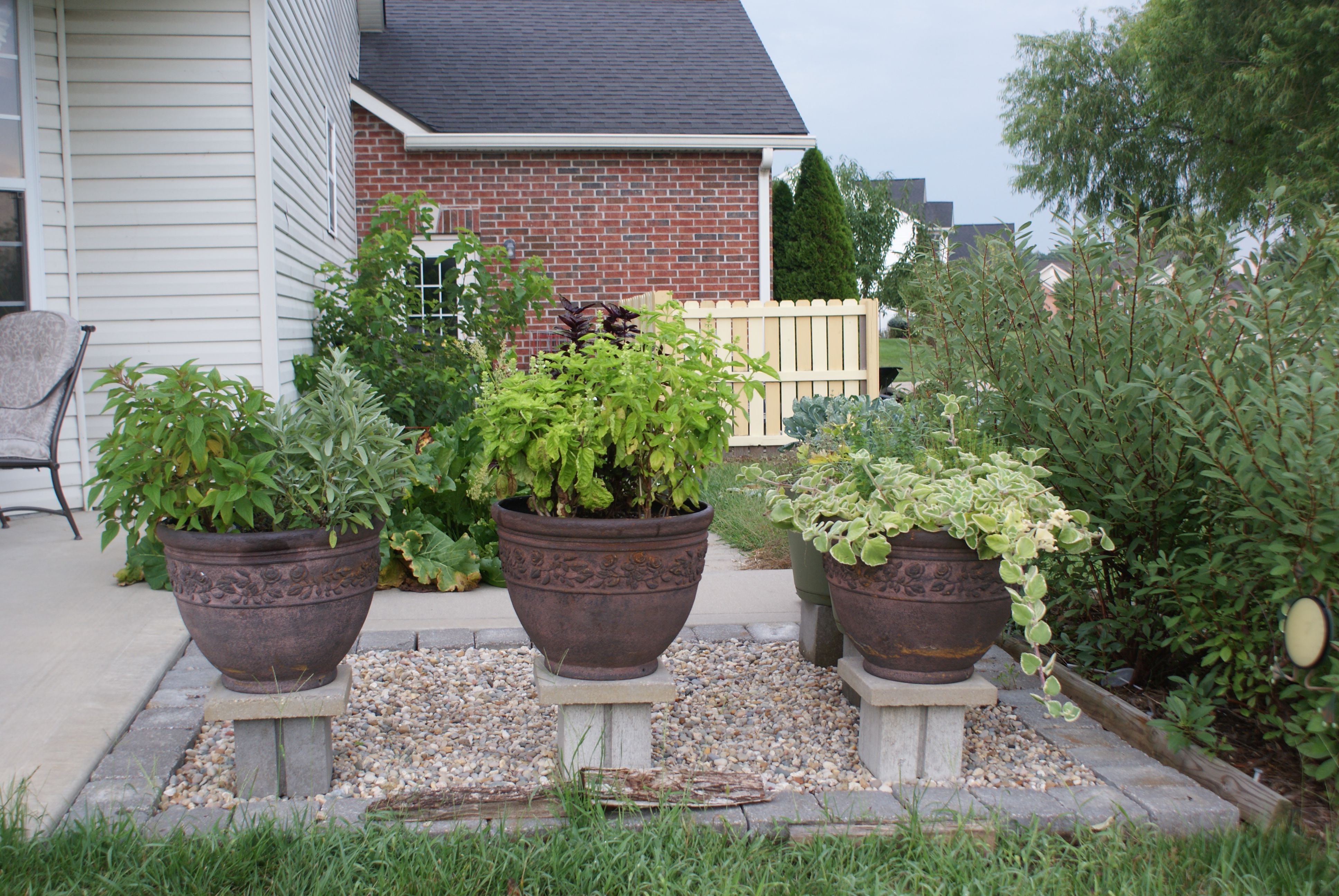 Kitchen Garden Update