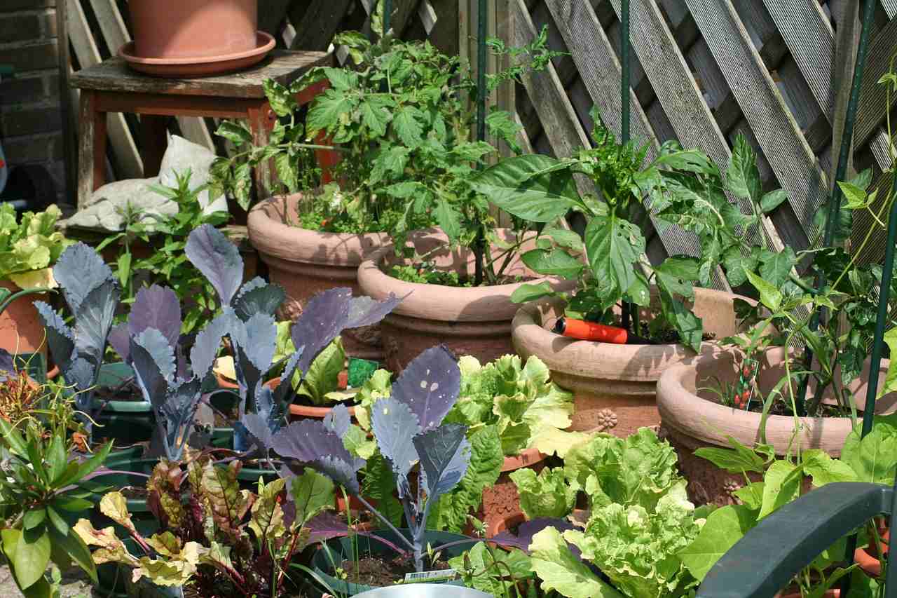 Kitchen Gardens