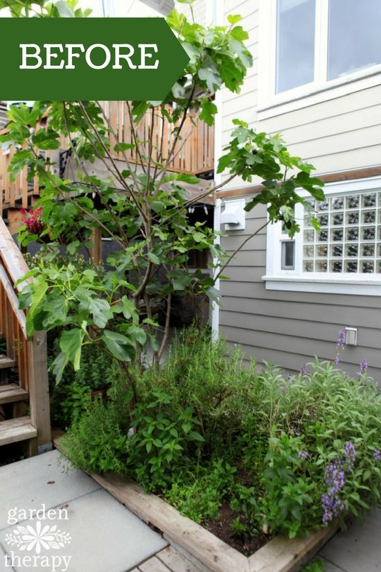 Kitchen Herbs