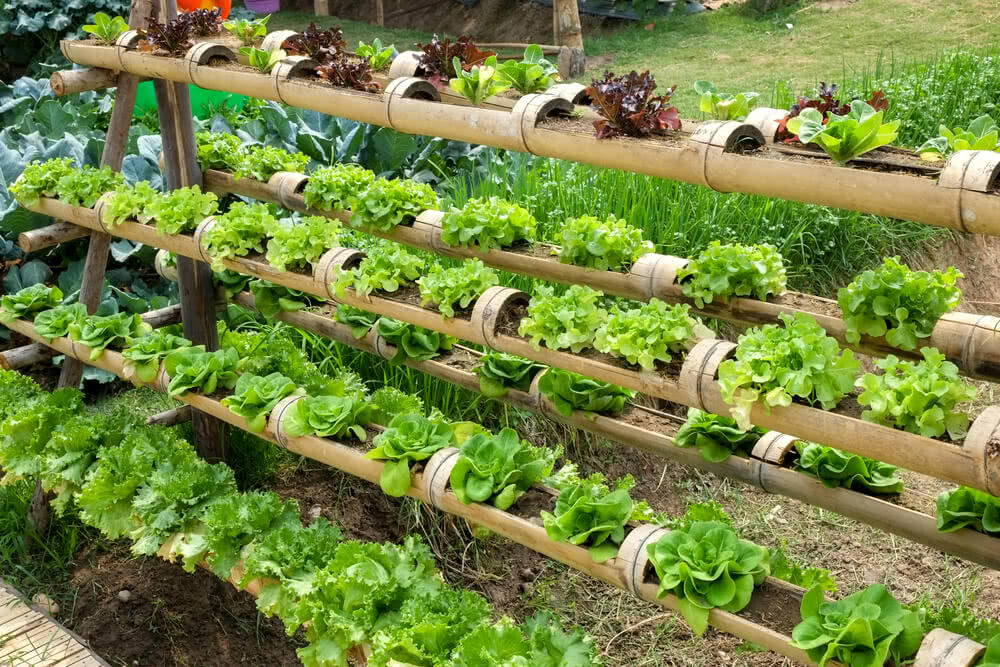 Our Small Kitchen Potager Vegetable Garden Planner