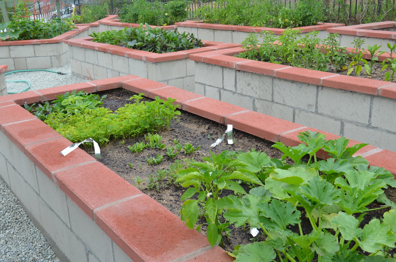 Smart Garden Design Ideas