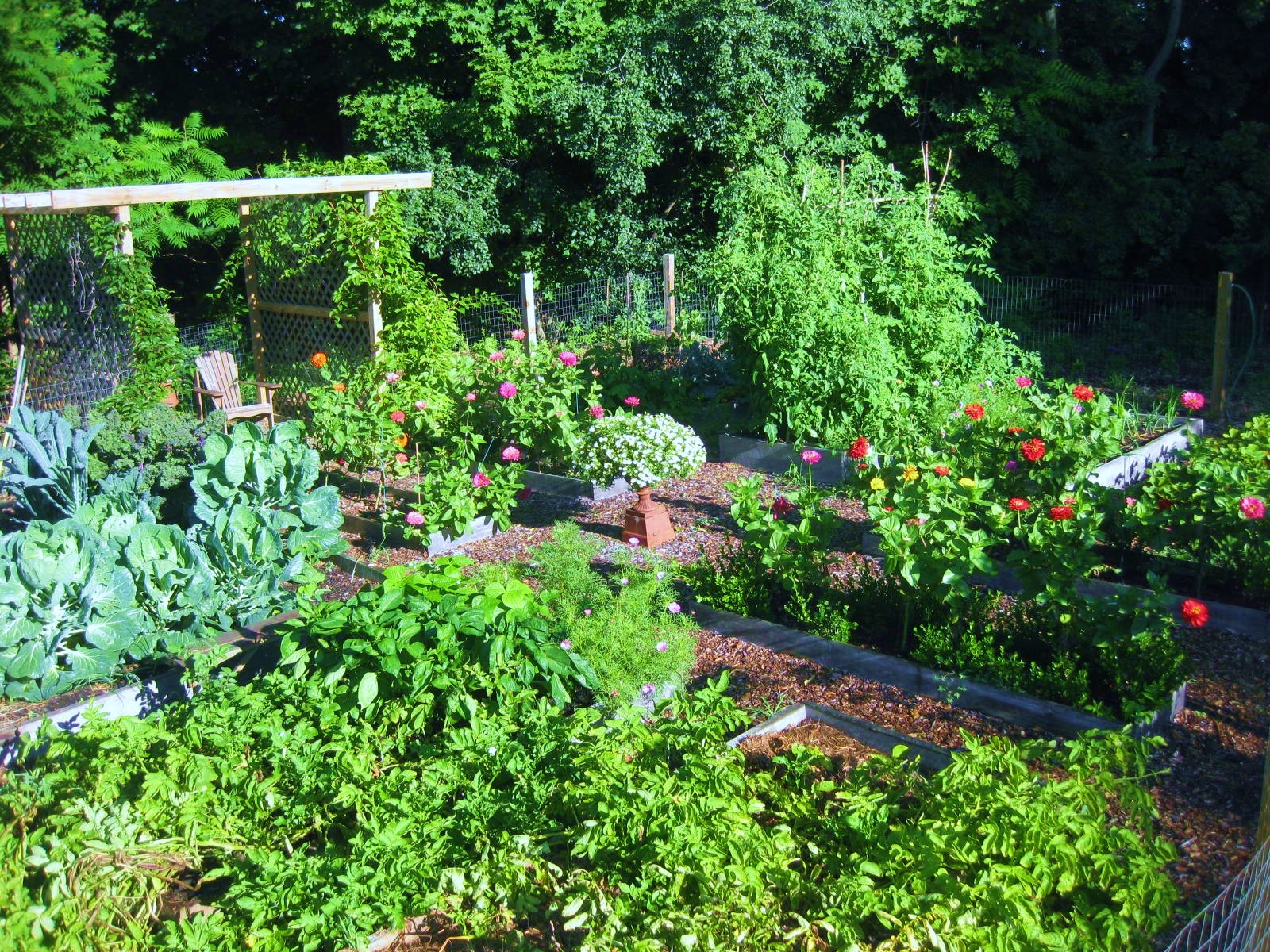 Decorative Gardens