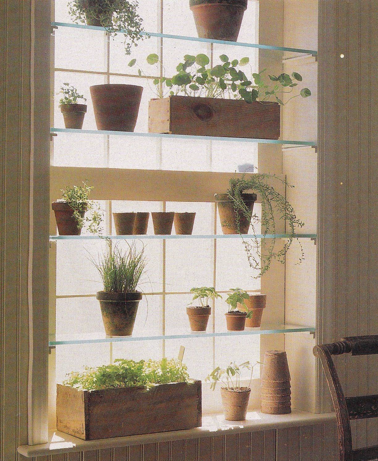 Pinterest Window Herb Garden