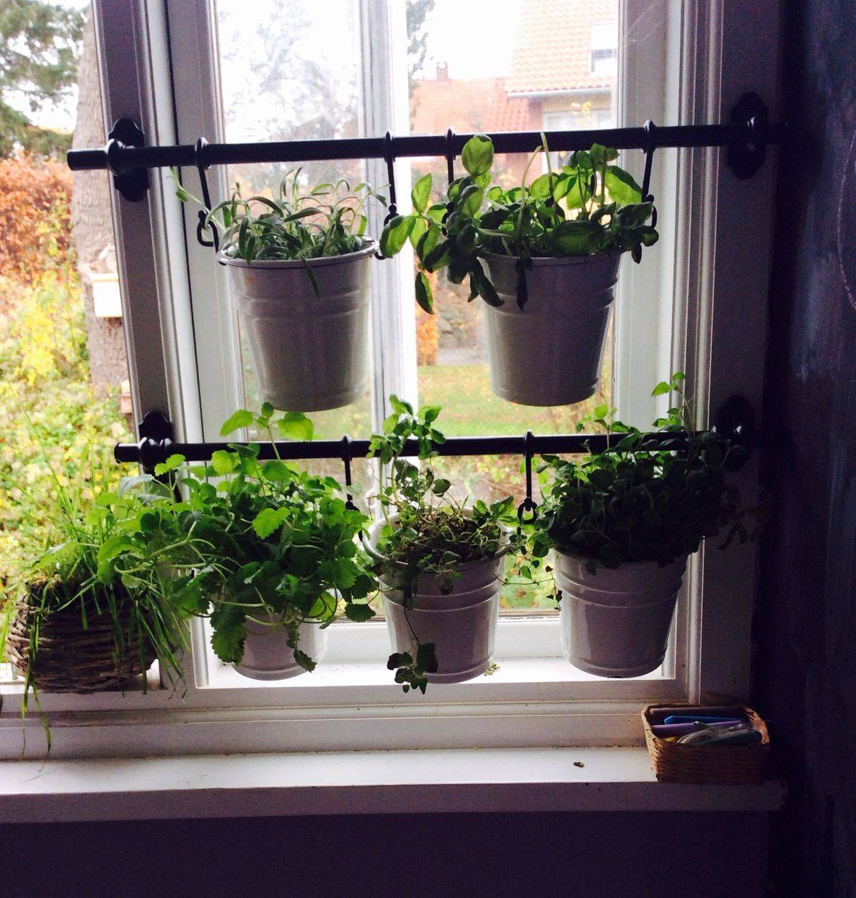 Indoor Herbs Garden Ideas Pretend Magazine