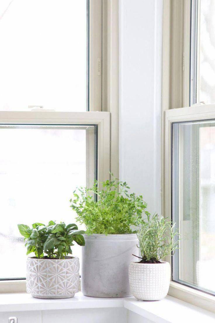 Indoor Window