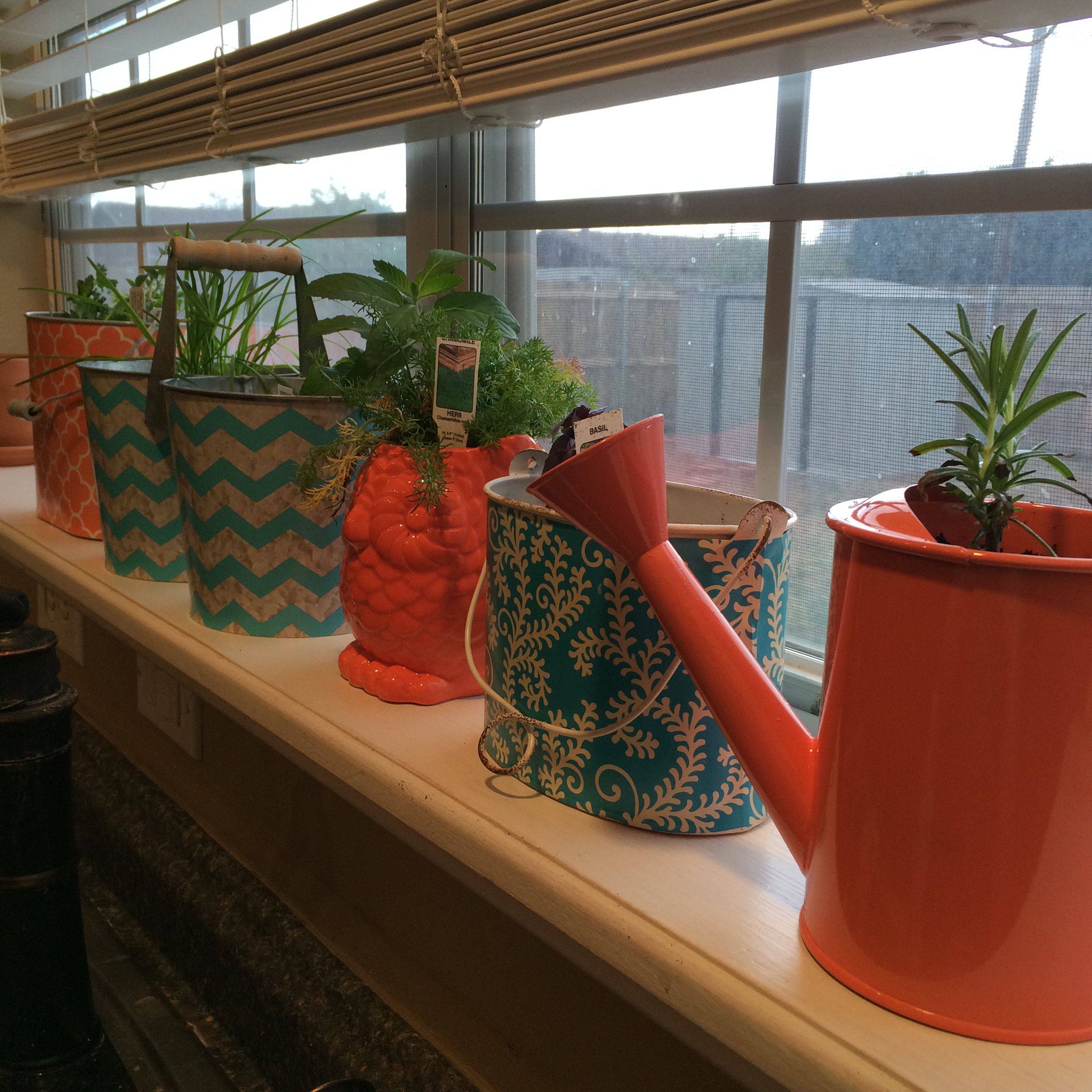 Kitchen Window Herb Garden Inspirational Kitchen Window Herb Garden