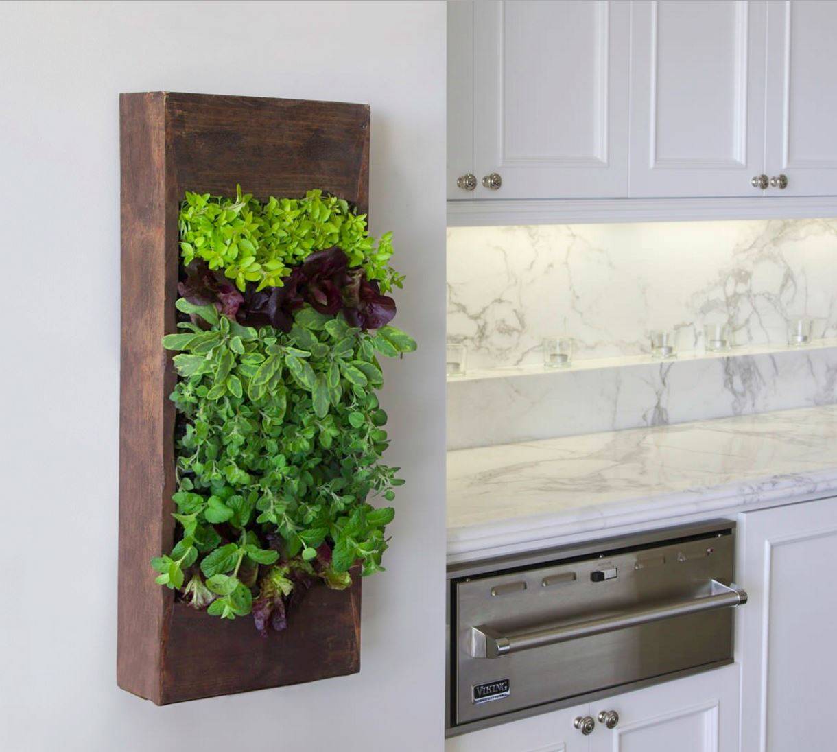 Amazing Indoor Kitchen Herb Gardens