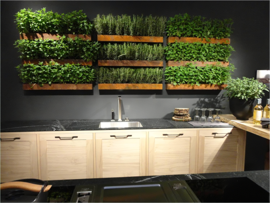 Best Indoor Herb Gardens