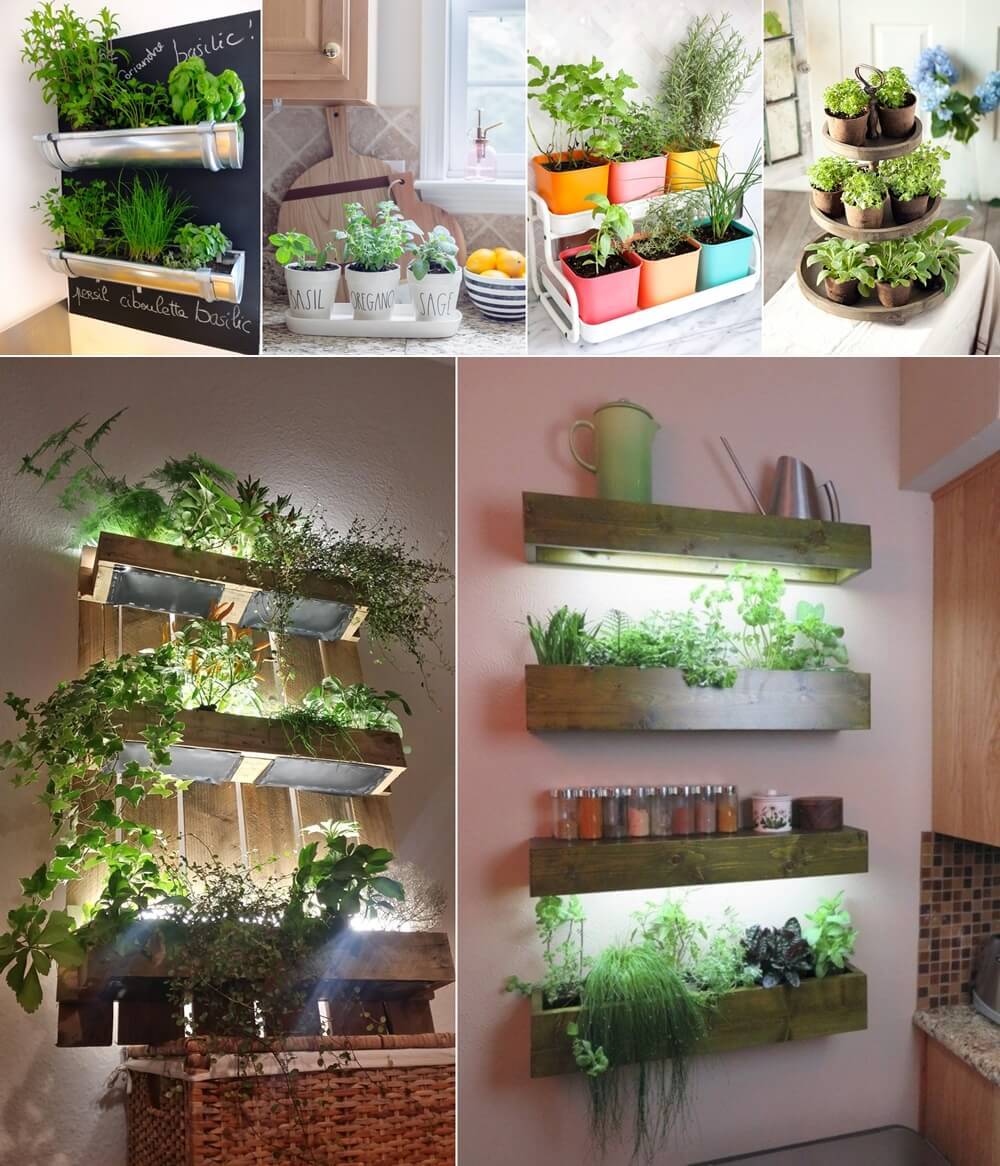 Indoor Hydroponic Wall Garden