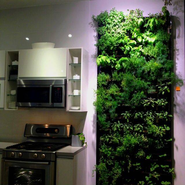 Garden Super Ideas Vertical Garden