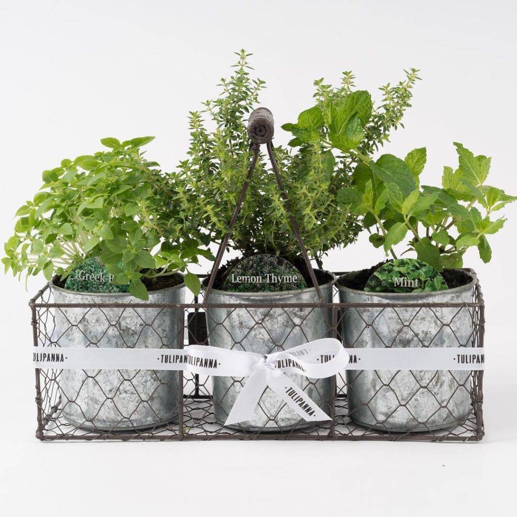 Incredibly Simple Diy Herbs Garden Ideas