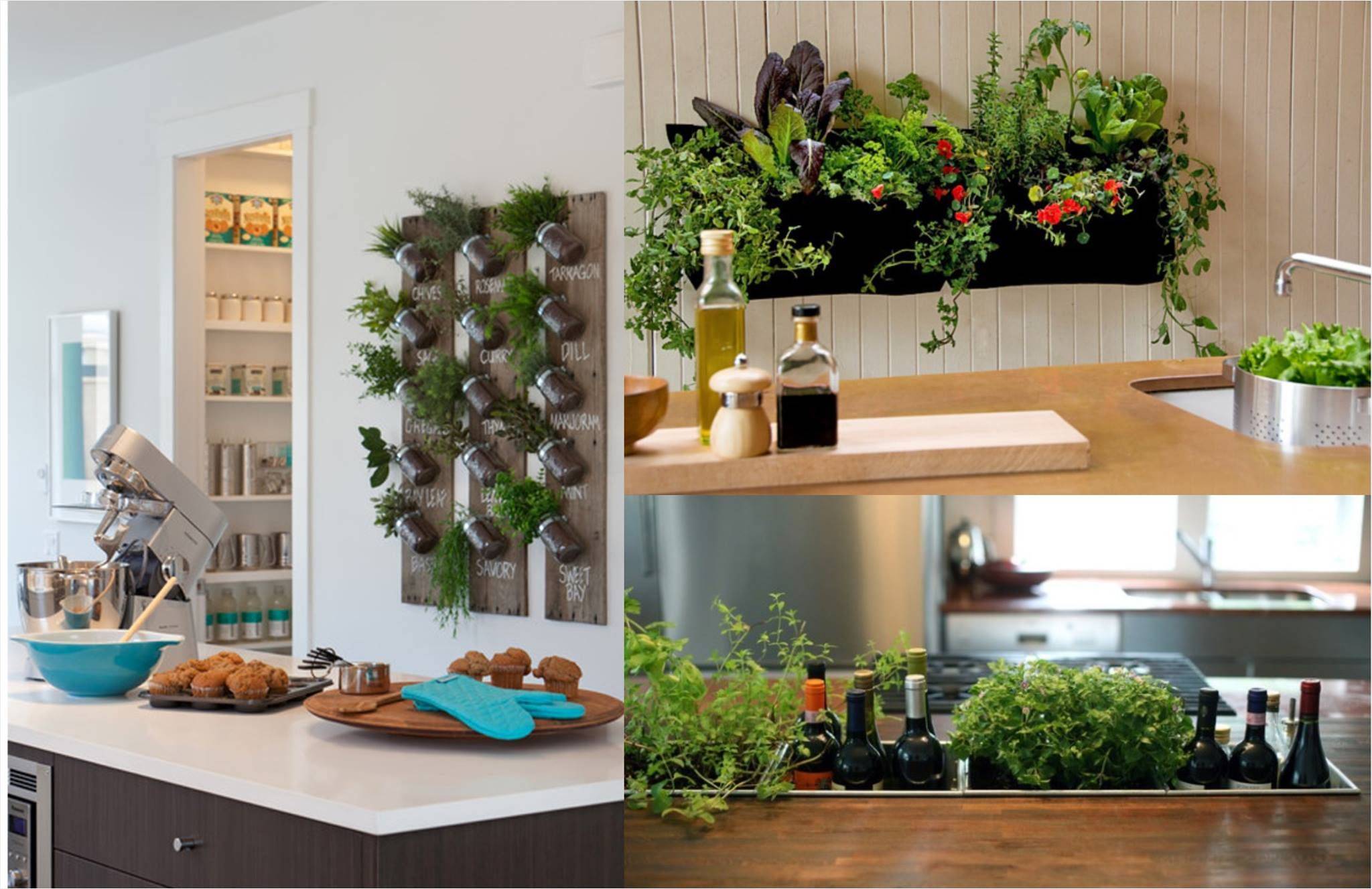 Herb Garden Indoor Ideas