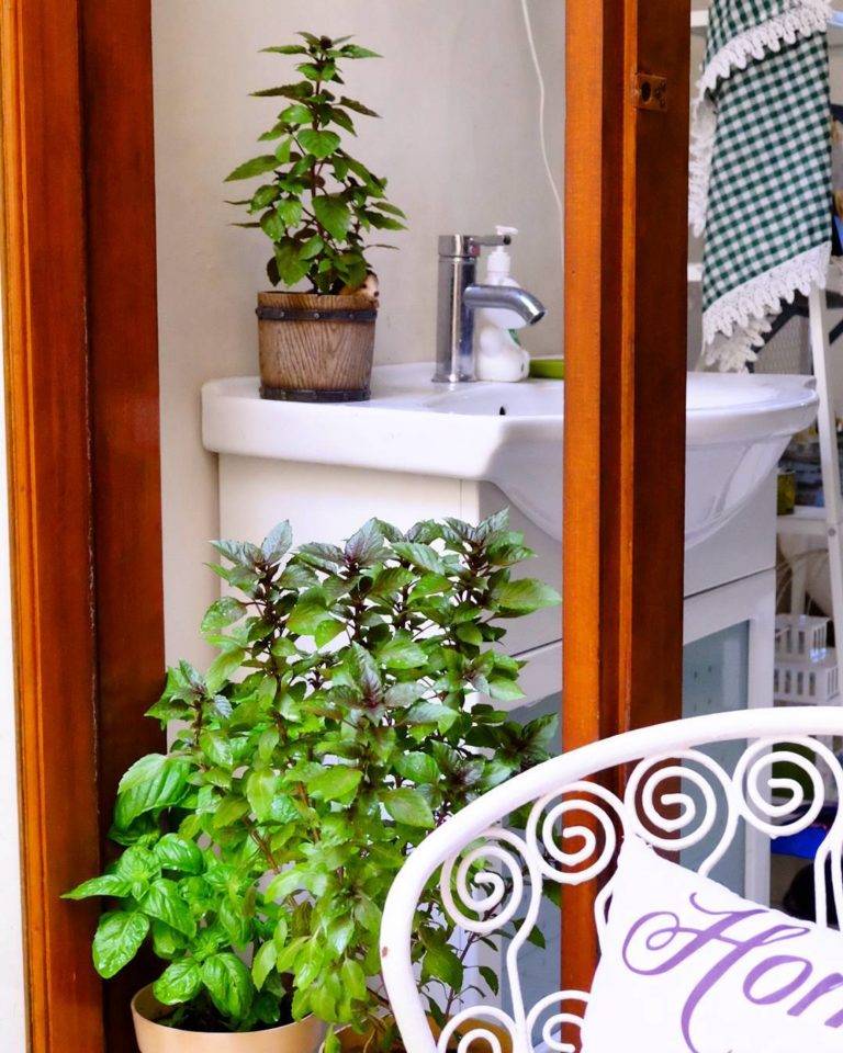 Easy Diy Kitchen Herb Garden