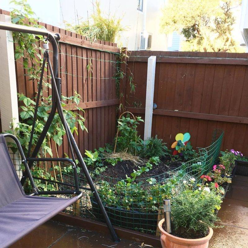 Step Organic Gardening Mother Earth News