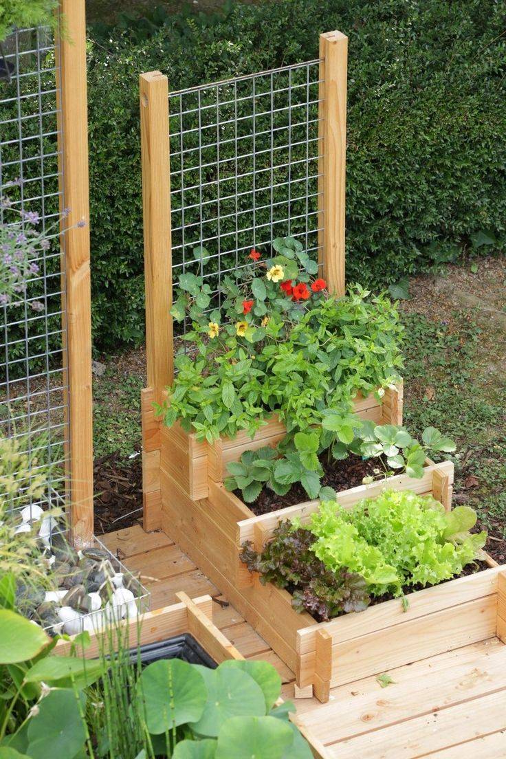 Kitchen Garden Ideas