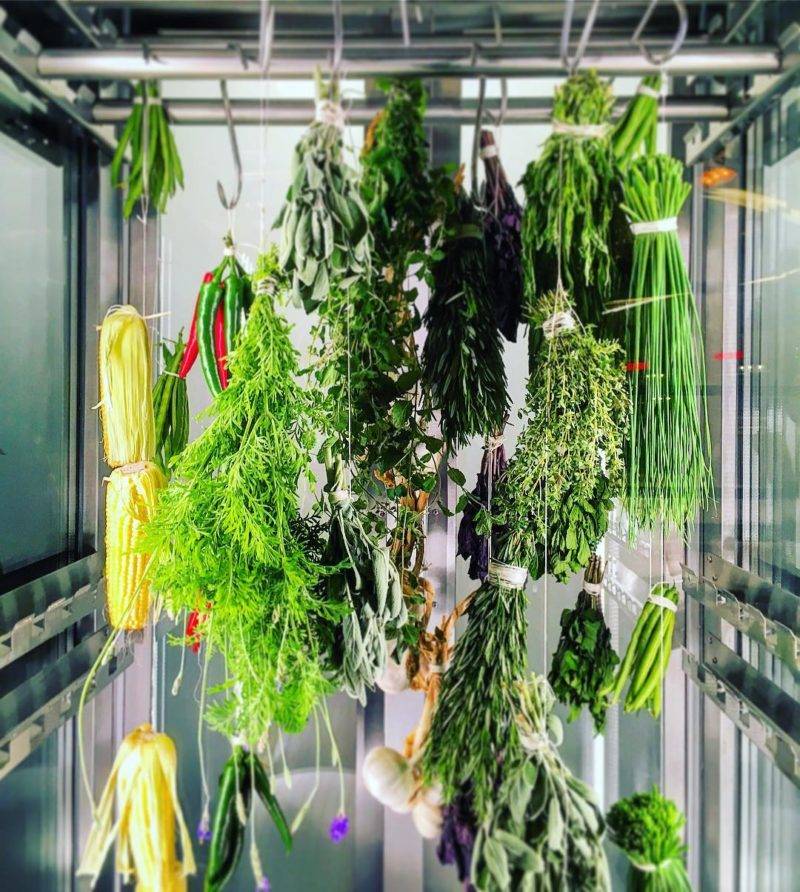 The Easy Kitchen Garden