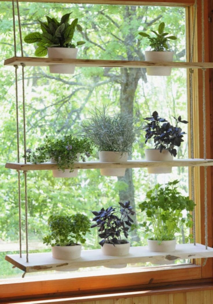 Kitchen Window Herb Garden