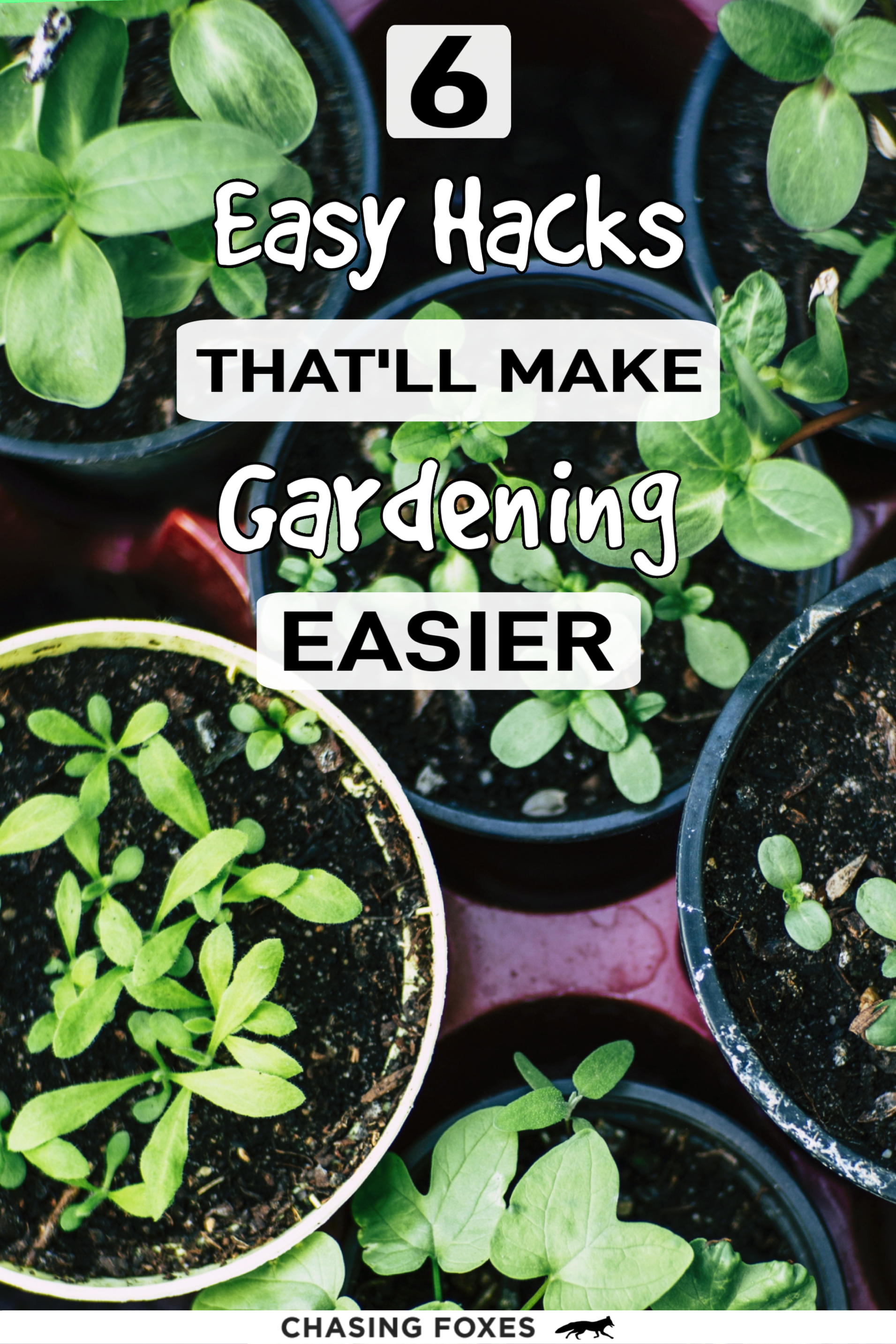 Wacky Gardening Hacks