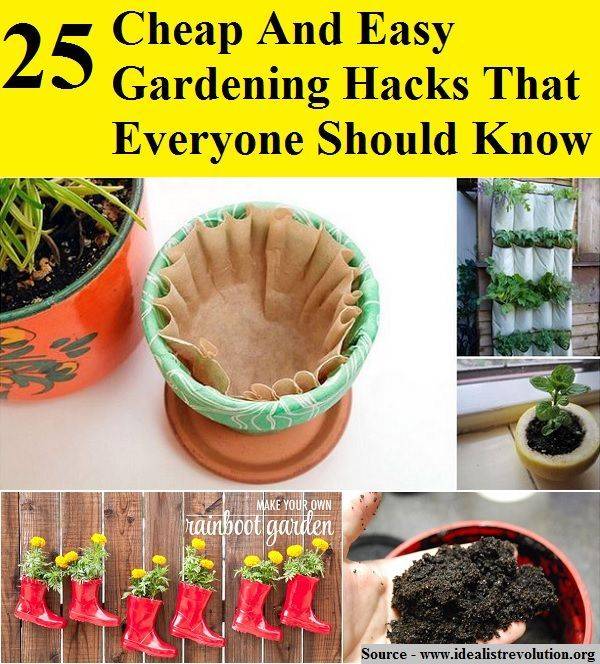 Gardening Hacks