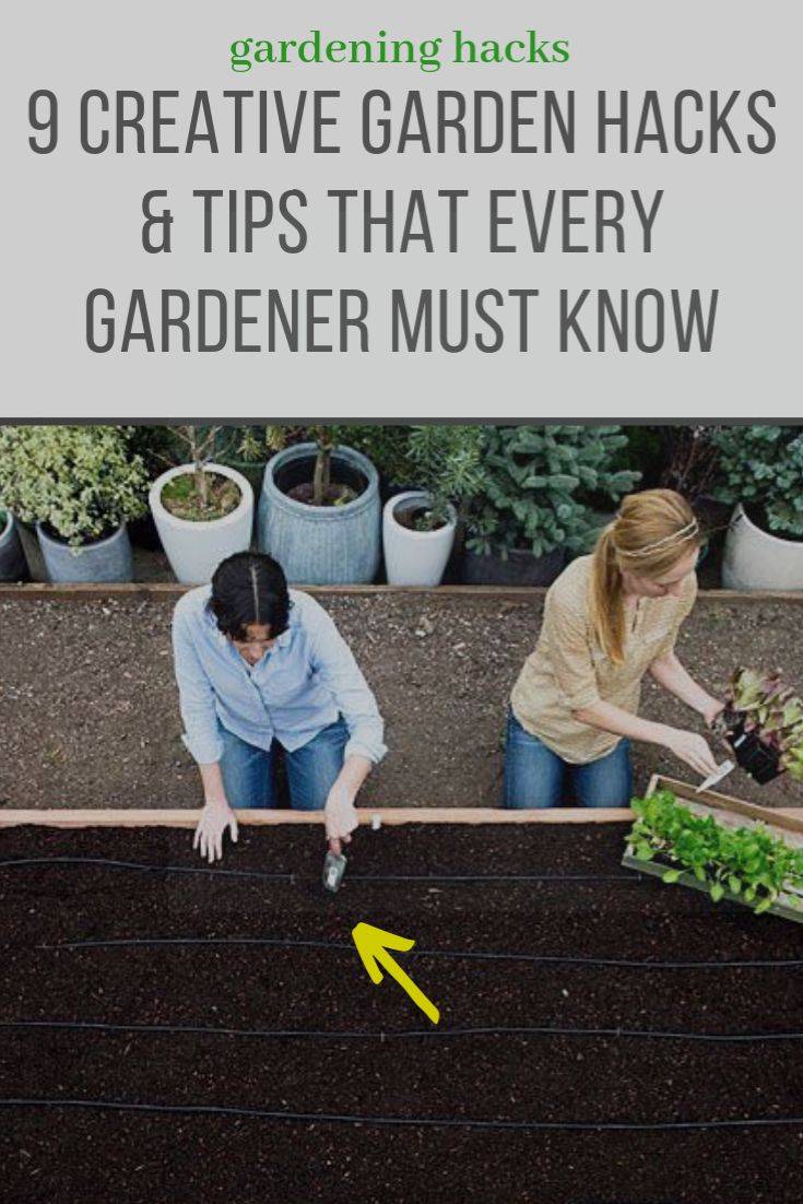 About Gardening