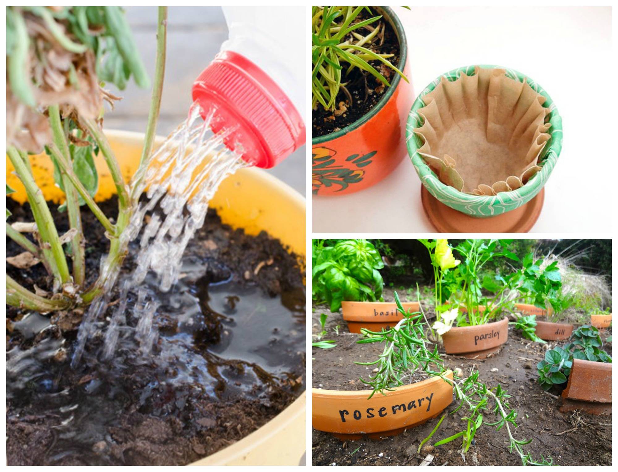 About Gardening Viral