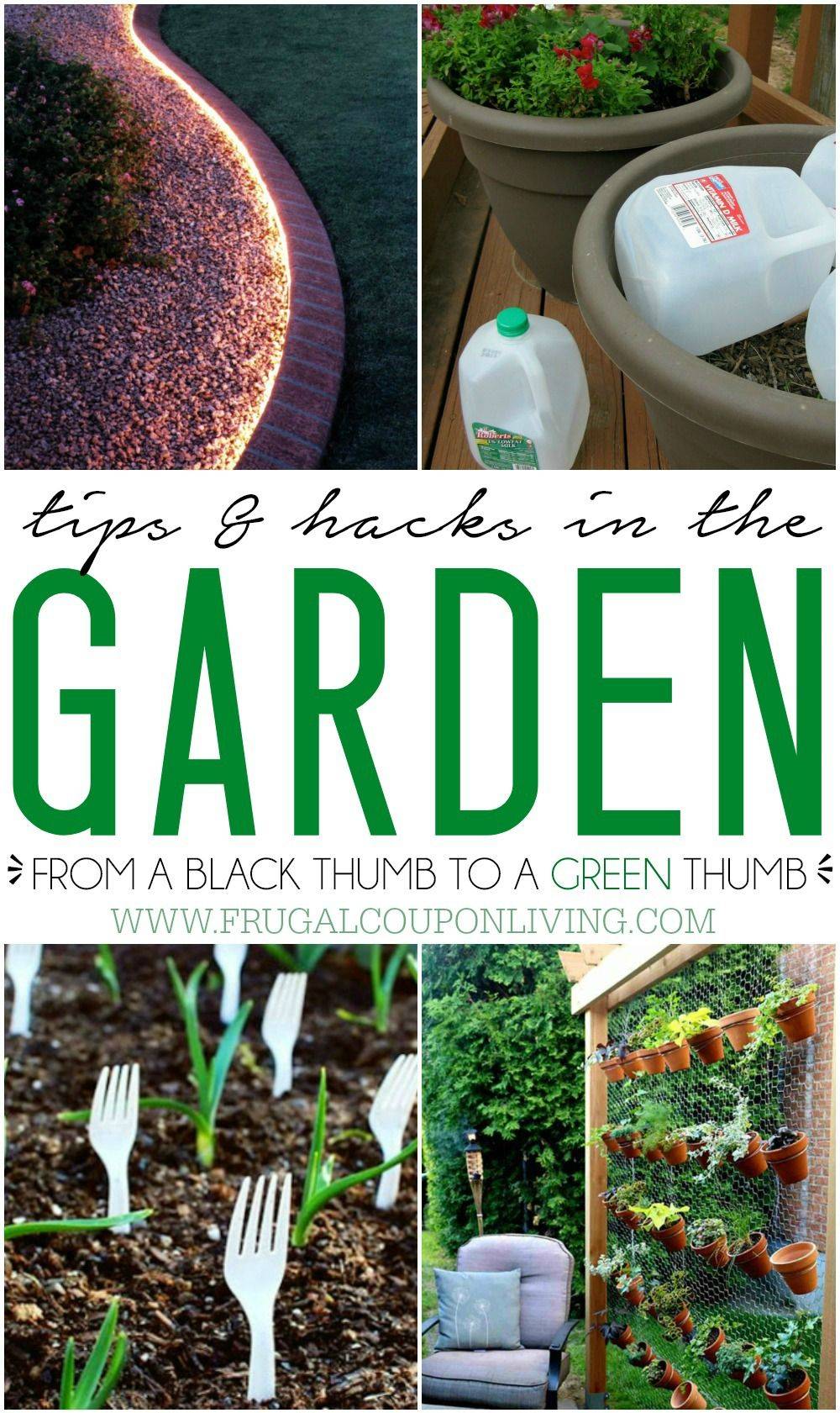 Simple Gardening Hacks You Probably Didnt Know About Small