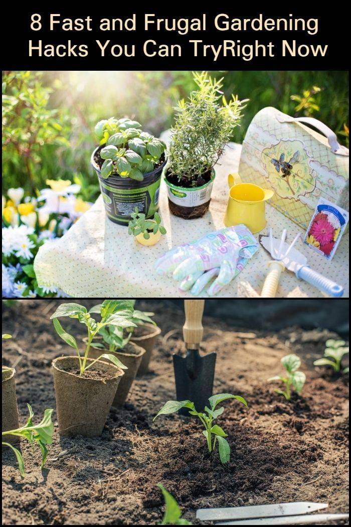 Best Gardening Hacks