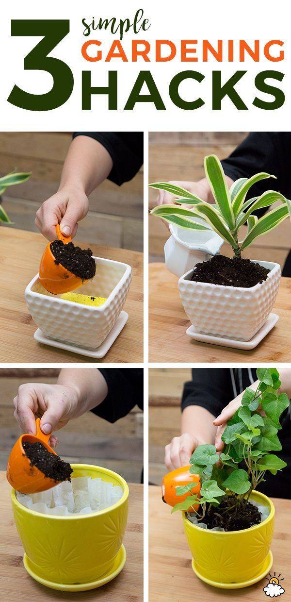 Easy Diy Gardening Tips