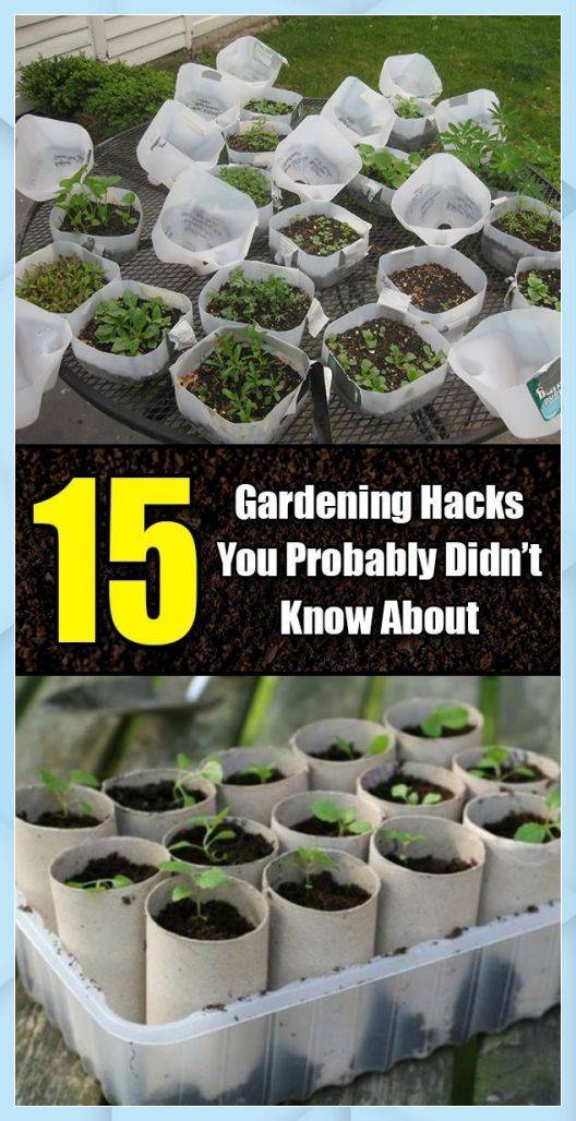 Garden Hacks