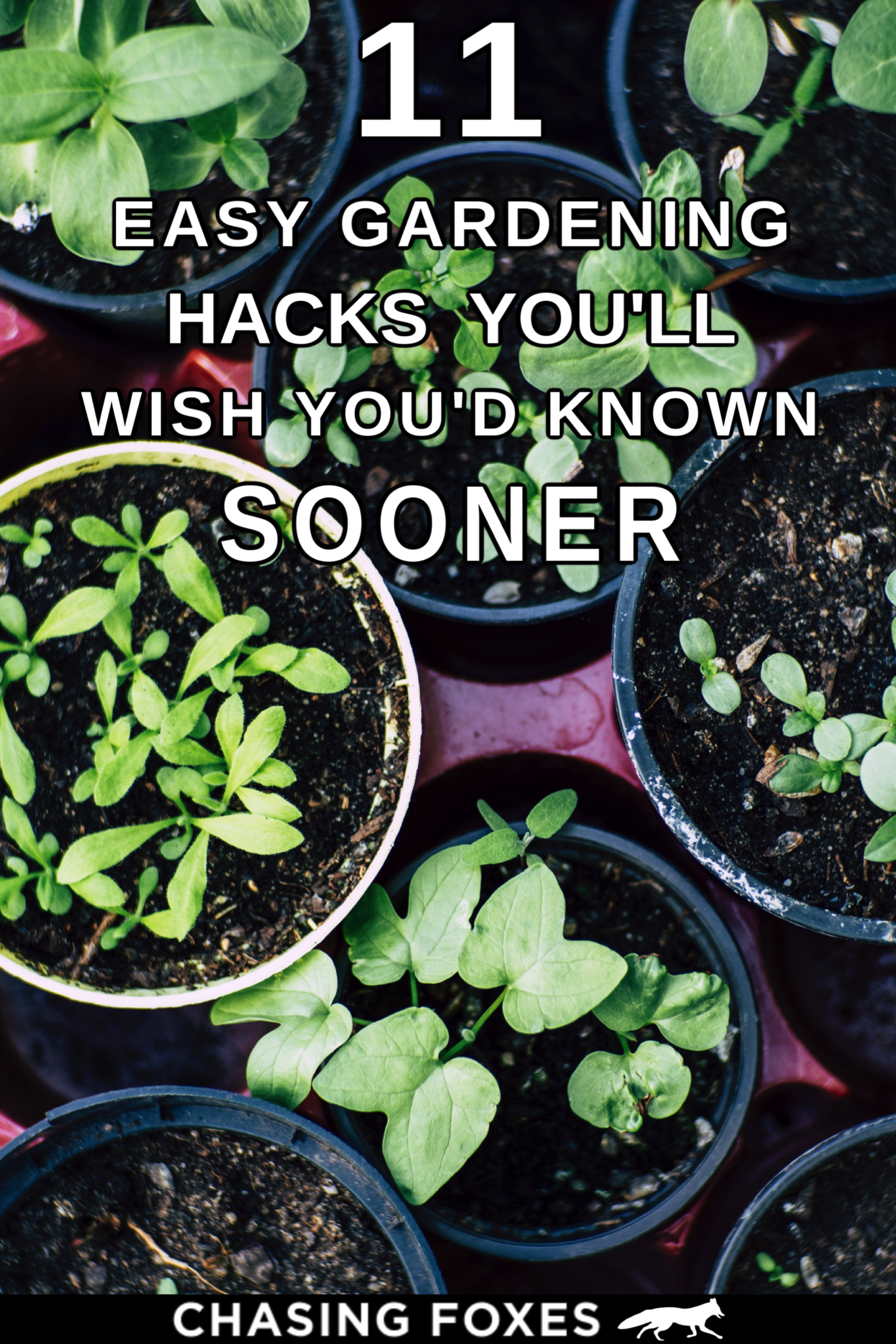 So Simple Ideas
