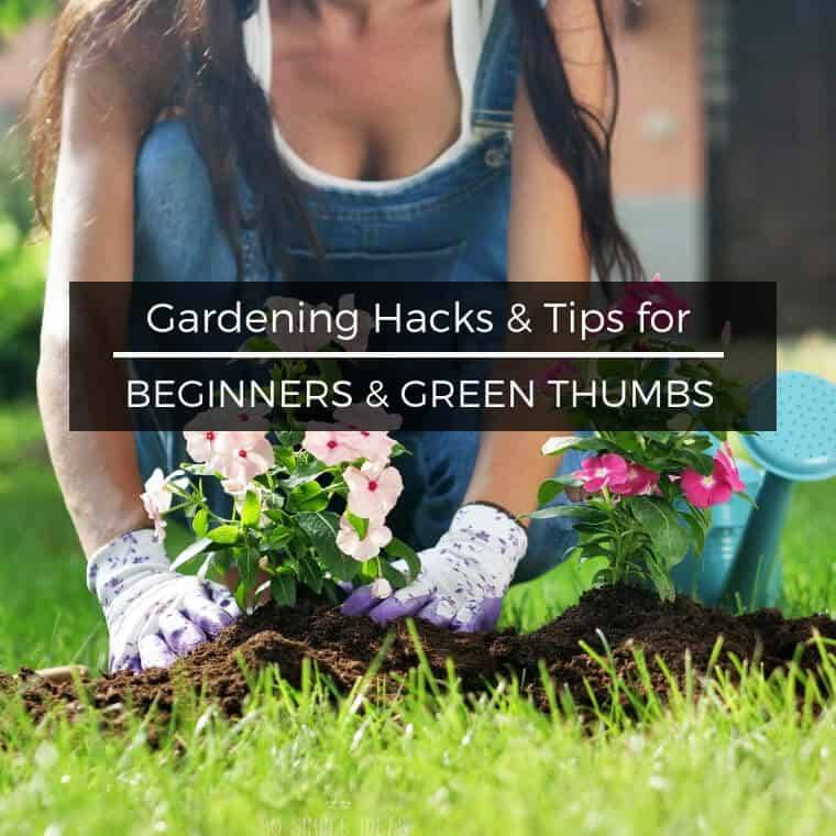New Creative Garden Hacks