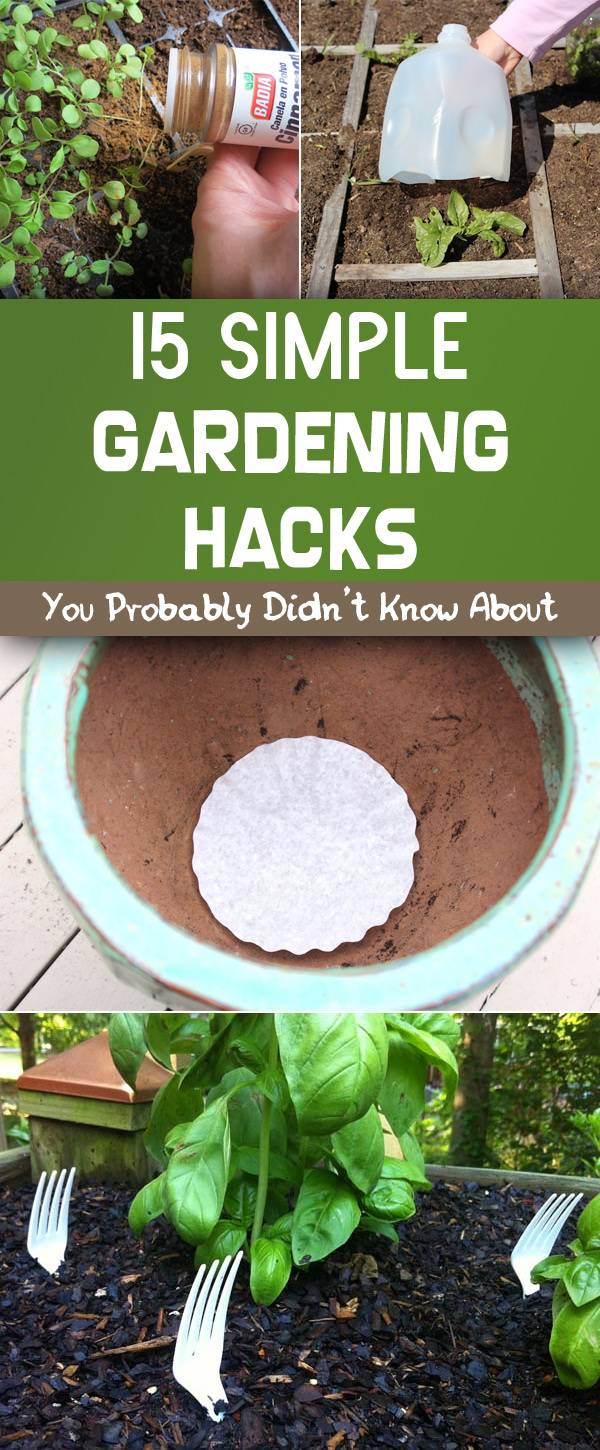 These Gardening Hacks