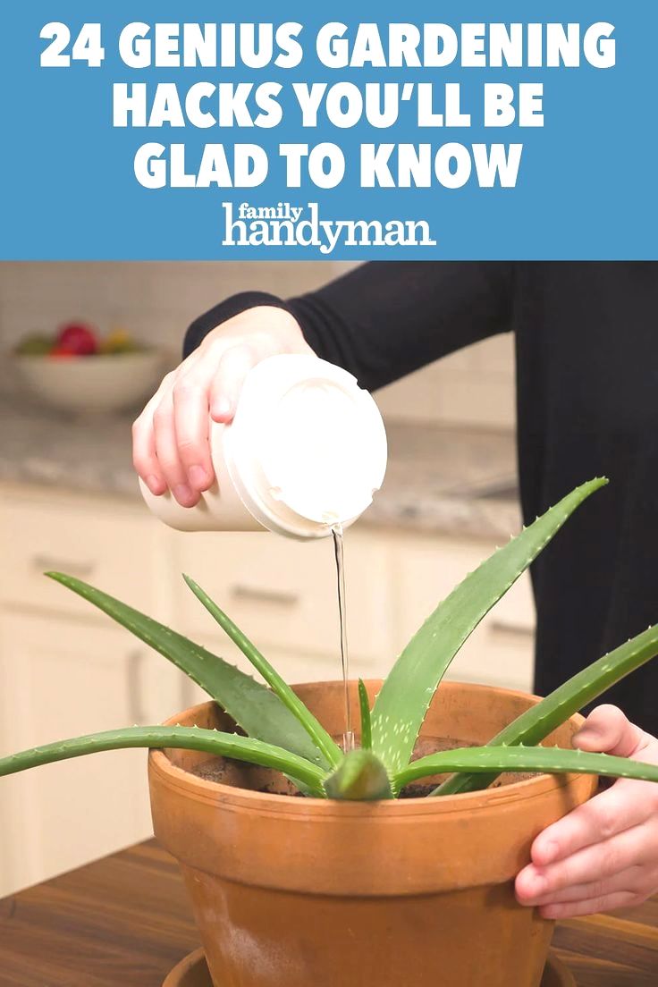 Awesome Diy Garden Hacks