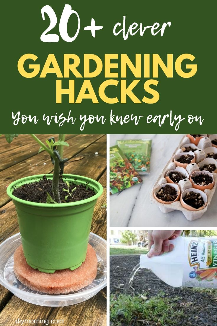 Creative Garden Hacks
