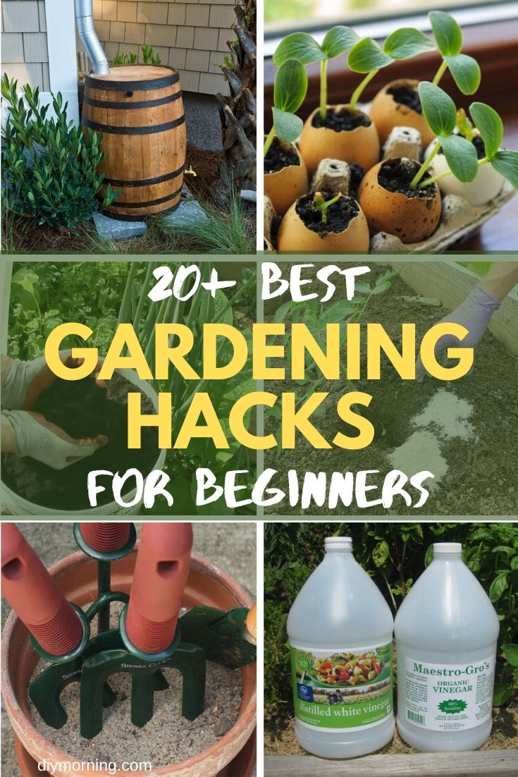 Gardening Hacks