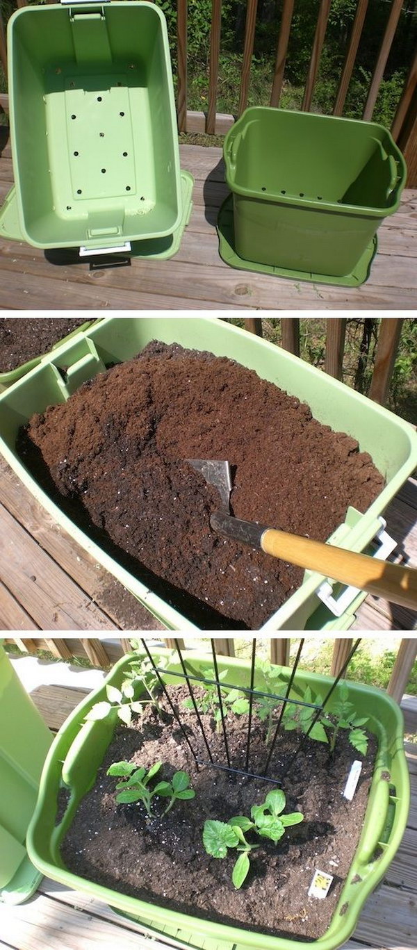 Gardening Hacks