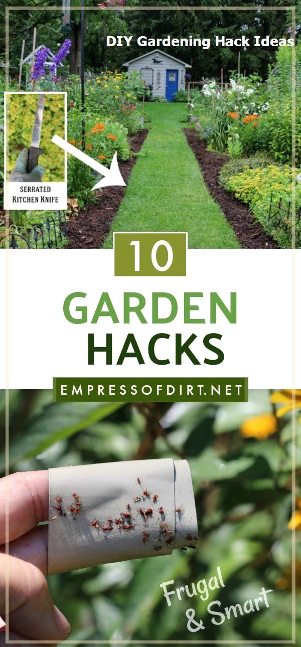 Garden Hacks Diy