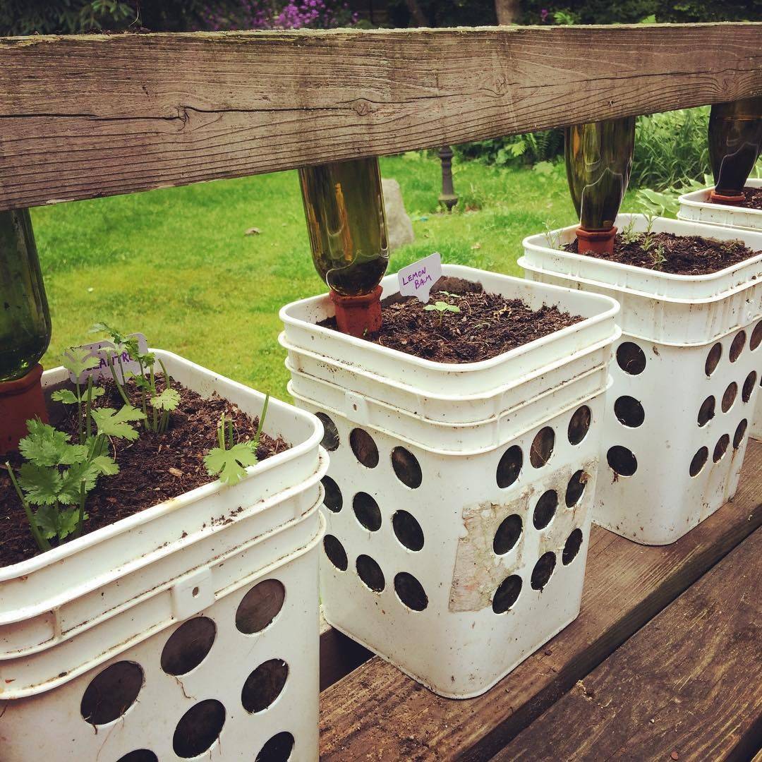 Gardening Hacks