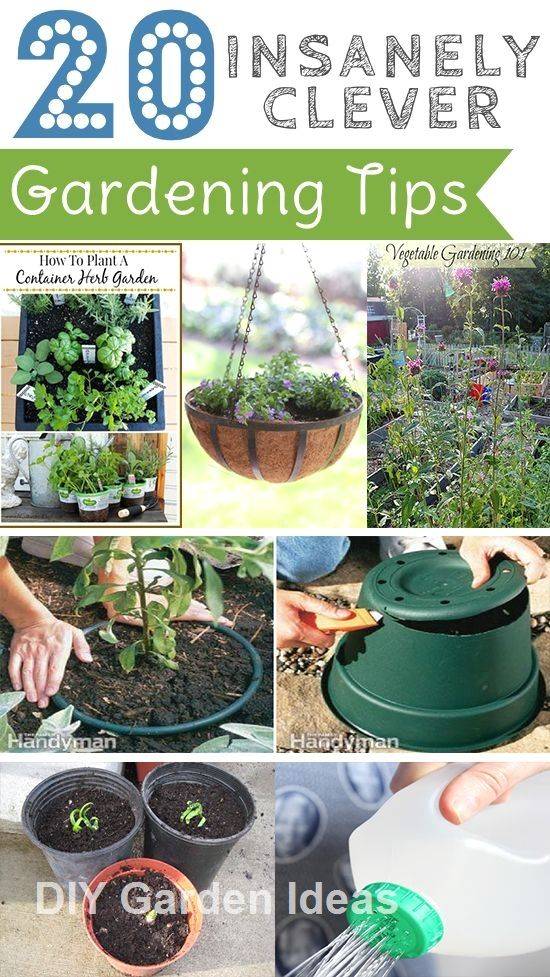 Gardening Hacks