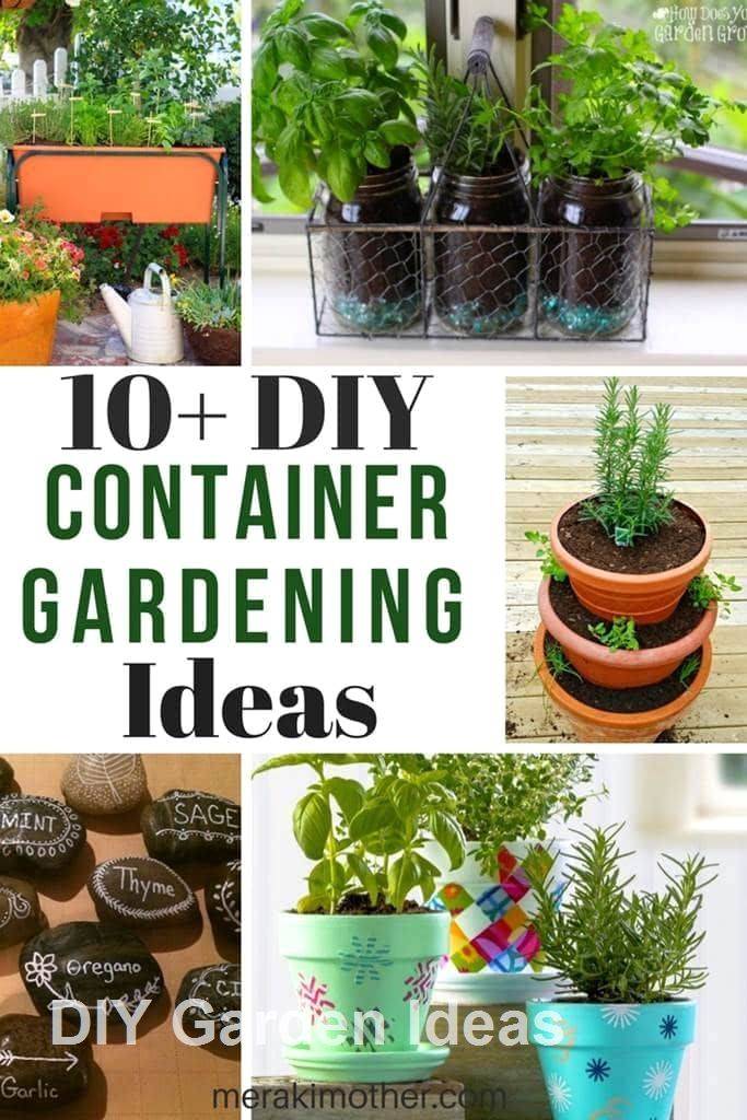 Creative Garden Hacks